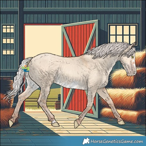 Horse Color:Silver Amber Champagne Dun Frame 