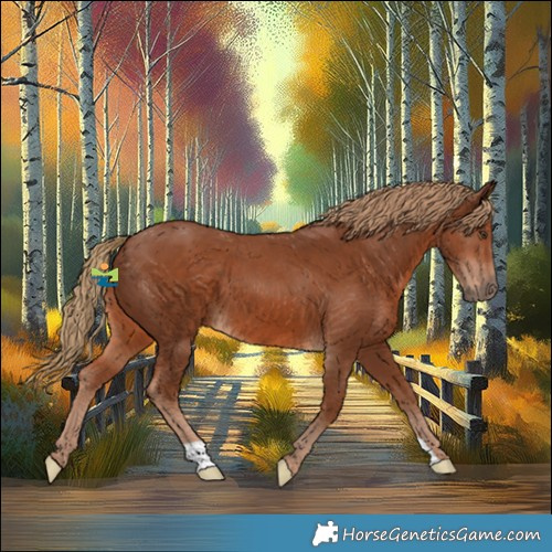 Horse Color:Chestnut 