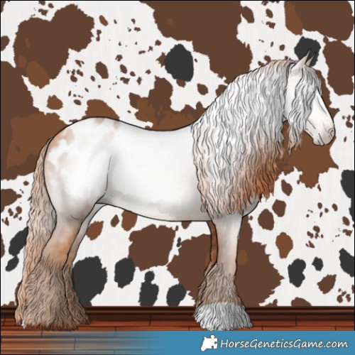 Horse Color:Gray Gold Champagne Blanket 