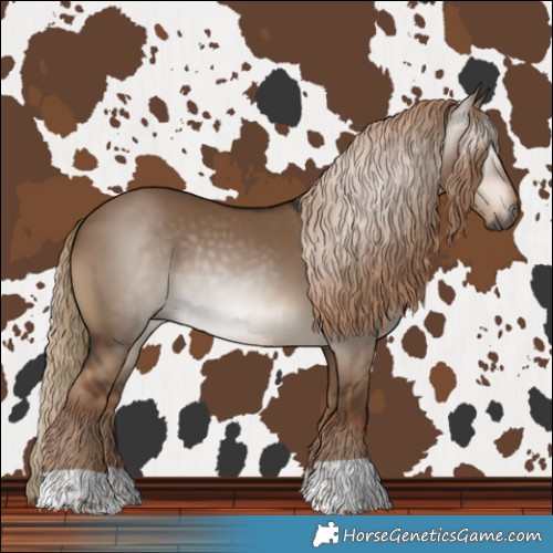 Horse Color:Gray Liver Red Dun 