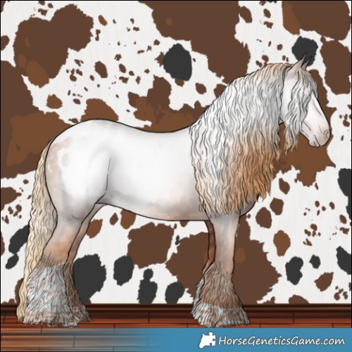 Horse Color:Gray Gold Champagne Tobiano Blanket 