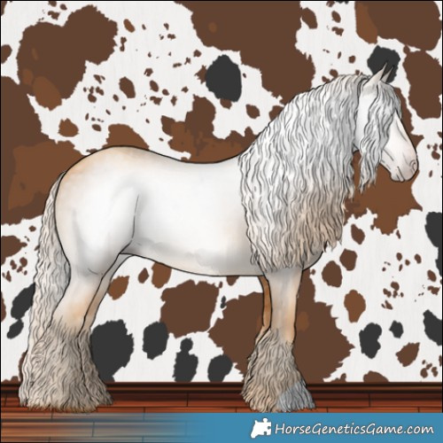 Horse Color:Gray Gold Cream Champagne 