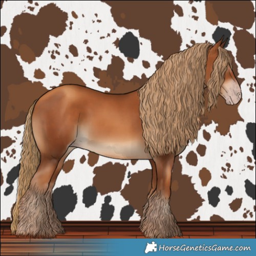 Horse Color:Gray Gold Champagne 