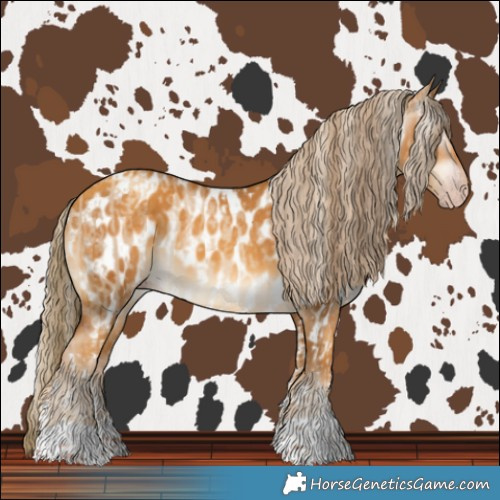 Horse Color:Gray Gold Champagne Dun Tobiano  and Gray Gold Cream Champagne Near Leopard 