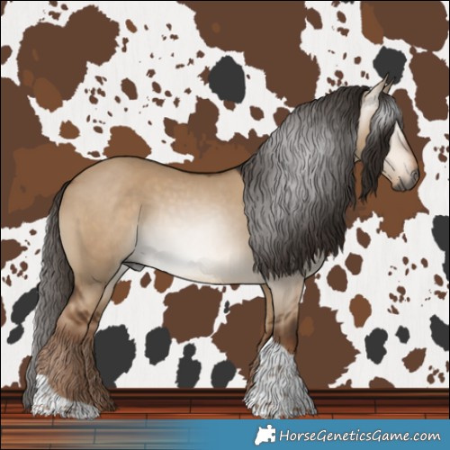 Horse Color:Gray Liver Red Dun Tobiano 