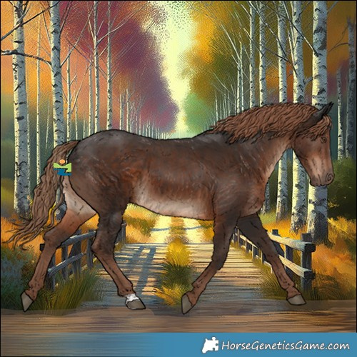 Horse Color:Liver Chestnut