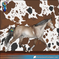 Horse Color:Gray Classic Champagne Dun Tobiano Rabicano 
