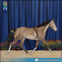 Horse Color:Gray Classic Champagne Dun Tobiano Rabicano