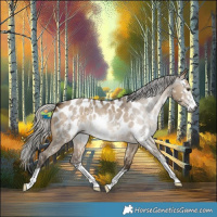 Horse Color:Gray Silver Bay Dun Sabino Near Leopard