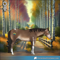 Horse Color:Gray Amber Champagne Sabino Tobiano Rabicano 