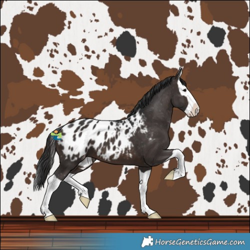 Horse Color:Brown Splash Blanket 