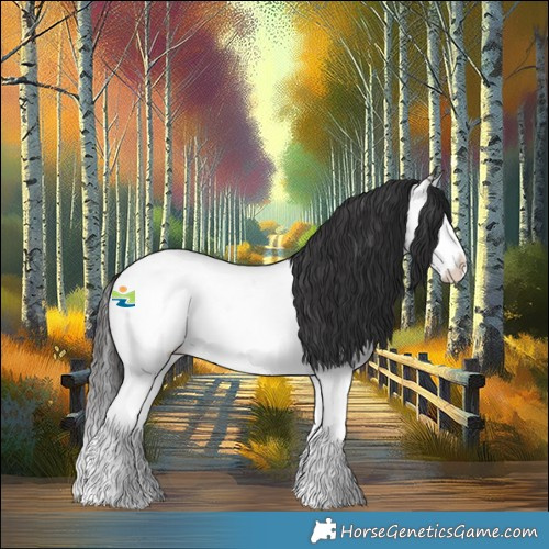 Horse Color:White Spotted Brown Splash Appaloosa Rabicano