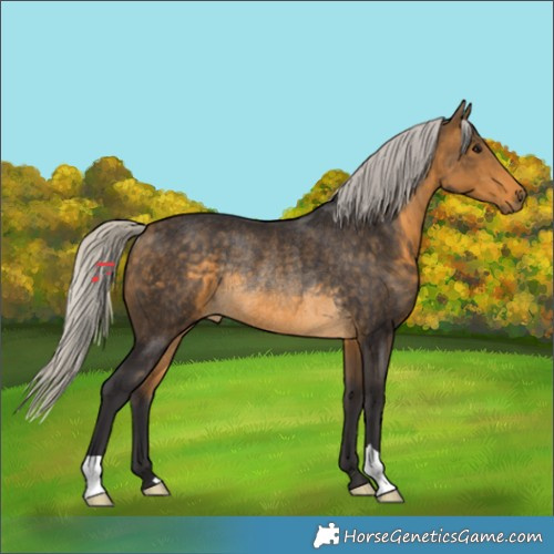 Horse Color:Silver Buckskin Rabicano 