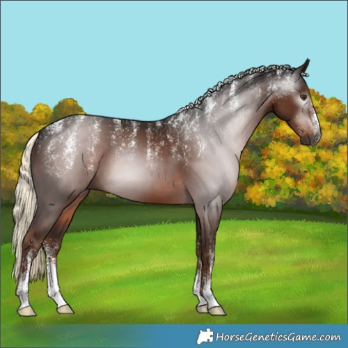 Horse Color:Powder White Gray Liver Chestnut Mushroom 