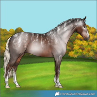 Horse Color:Powder White Gray Liver Chestnut Mushroom