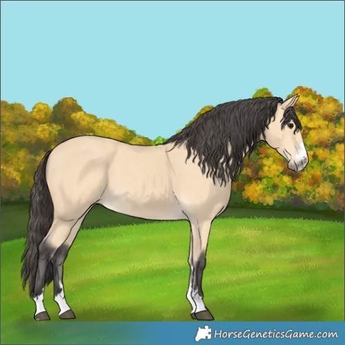 Horse Color:Unknown 
