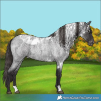 Horse Color:Smoky Blue Roan Skewed LP Spotted 