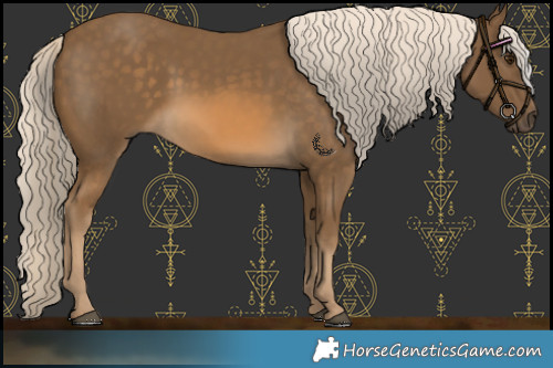 Horse Color:Chocolate Palomino 