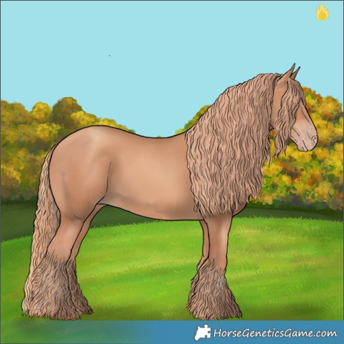 Horse Color:Gold Champagne 