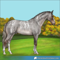 Horse Color:Powder White Liver Red Roan Mushroom 