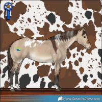 Horse Color:Bay Dun Skewed LP Spotted
