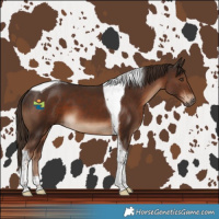 Horse Color:Liver Chestnut Tobiano 