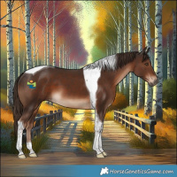 Horse Color:Liver Chestnut Tobiano