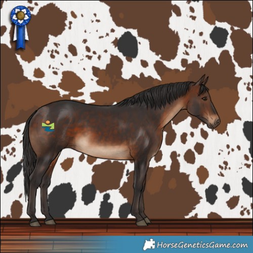 Horse Color:Brown 