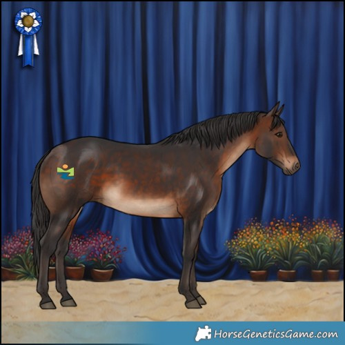 Horse Color:Brown 