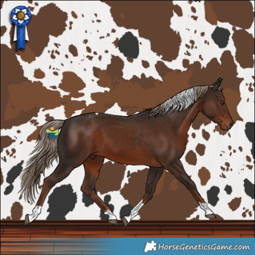 Horse Color:Liver Chestnut Tobiano 