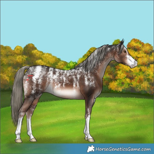 Horse Color:Powder White Liver Chestnut Mushroom 