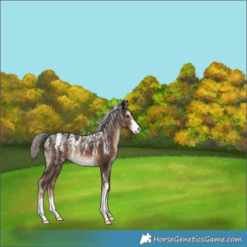 Horse Color:Powder White Liver Chestnut Mushroom 