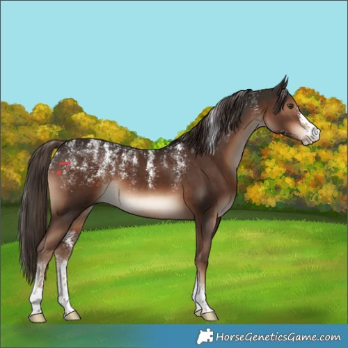 Horse Color:Powder White Liver Chestnut 