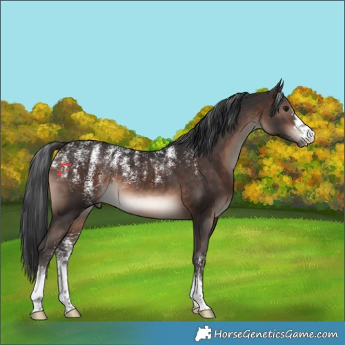 Horse Color:Powder White Brown Mushroom 