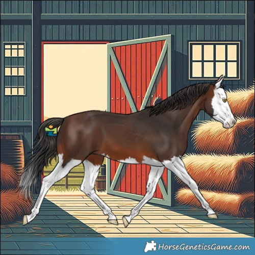 Horse Color:Brown Splash 