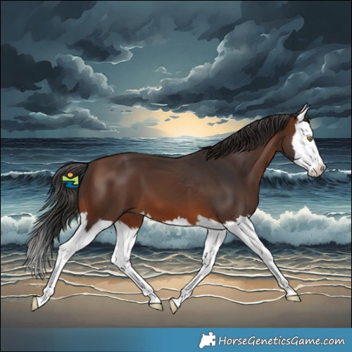 Horse Color:Brown Splash 