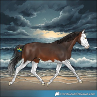 Horse Color:Brown Splash 