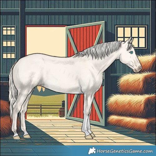 Horse Color:Cremello Dun Tobiano 