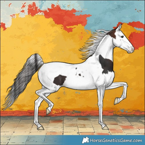 Horse Color:Brown Splash Tobiano 
