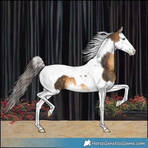 Horse Color:Buckskin Splash Tobiano 
