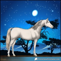 Horse Color:Smoky Creme Dun Tobiano