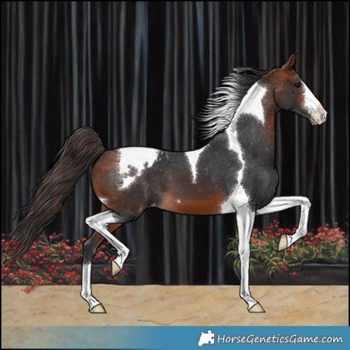 Horse Color:Bay Tobiano Varnish 