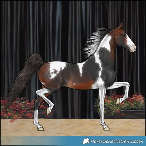 Horse Color:Bay Tobiano Varnish 