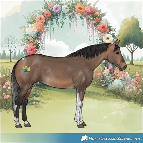 Horse Color:Bay Dun Tobiano Rabicano 