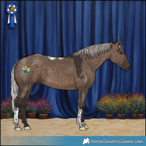 Horse Color:Silver Brown Dun Tobiano