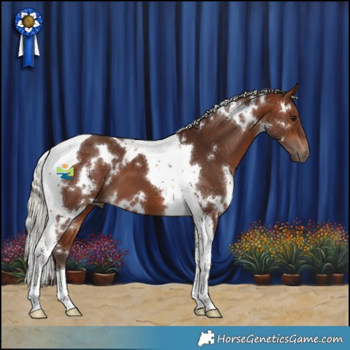 Horse Color:White Spotted Silver Bay Tobiano
