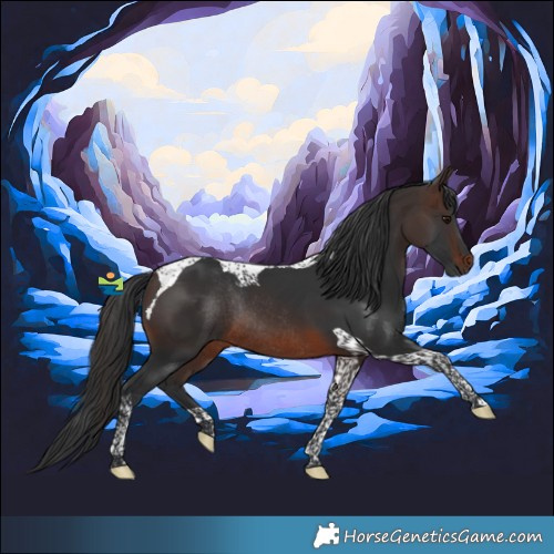 Horse Color:Brown Tobiano Rabicano