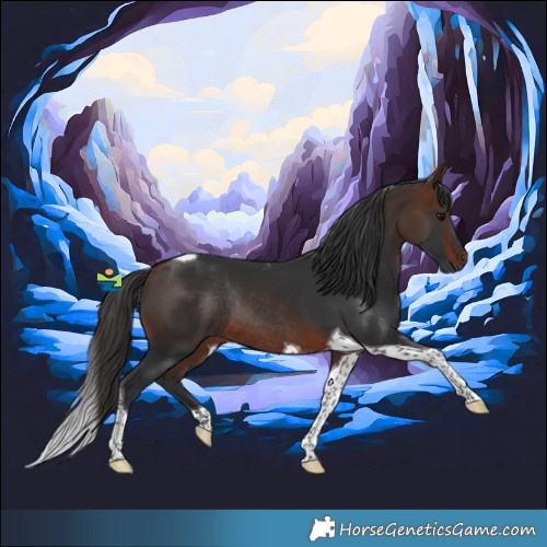 Horse Color:Brown Tobiano Rabicano 