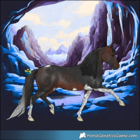Horse Color:Brown Tobiano Rabicano 