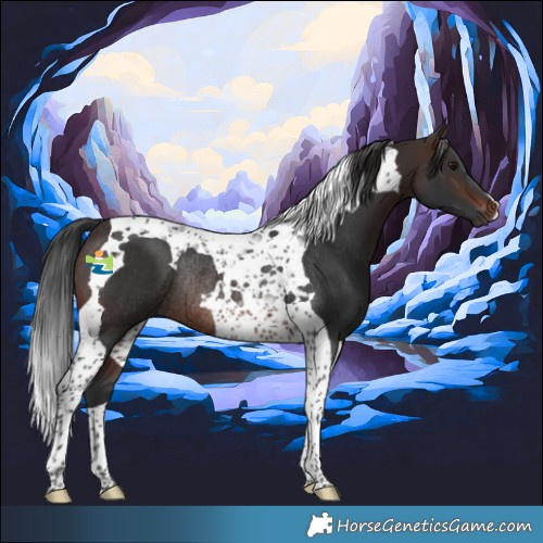 Horse Color:Brown Tobiano Rabicano